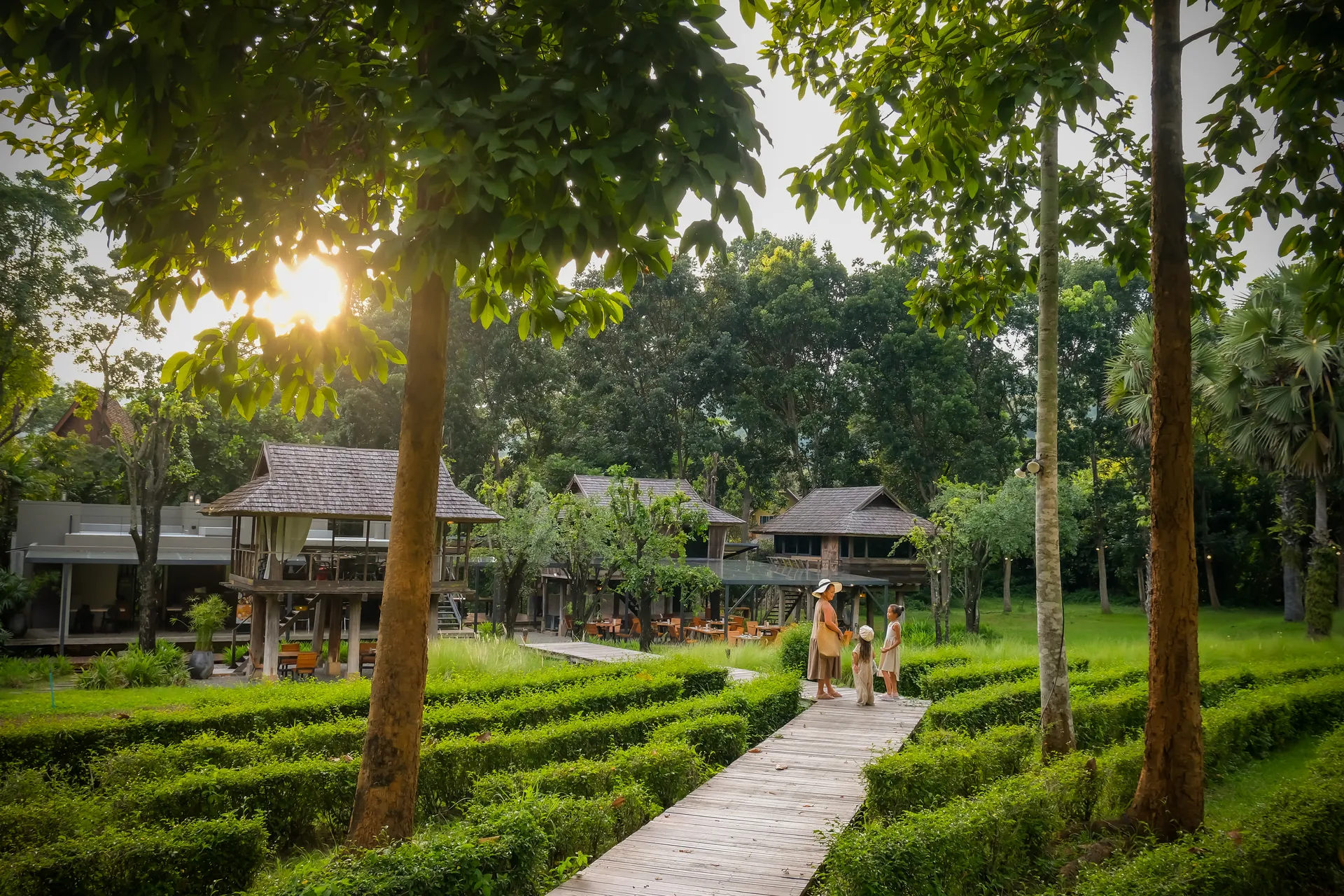 familyveranda high resort chiang mai mgallery coll 270 - Veranda High Resort Chiang Mai
